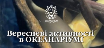 Вересень в Океанаріумі