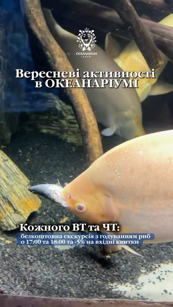 Вересень в Океанаріумі