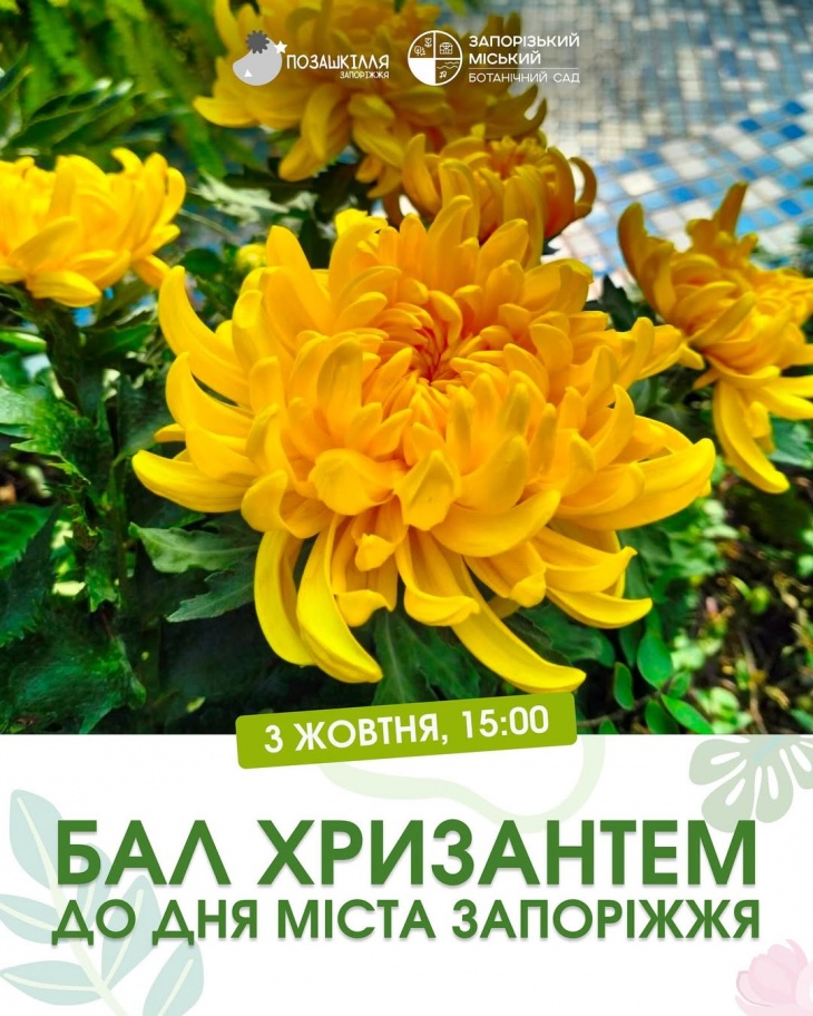 Бал хризантем в Ботаническом саду