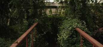 День Народження Ботанічного саду