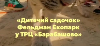 Дитячий садок "Фельдман екопарк" у ТРЦ Барабашово