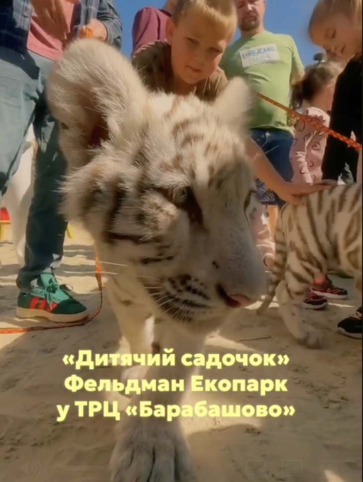 Дитячий садок "Фельдман екопарк" у ТРЦ Барабашово
