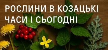 Лекція «Рослини в козацькі часи і сьогодні»