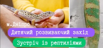 Детское развивающее мероприятие «Встреча с рептилиями»