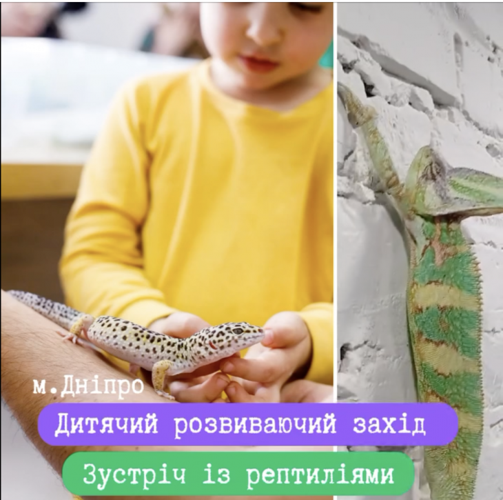 Детское развивающее мероприятие «Встреча с рептилиями» Детское развивающее мероприятие «Встреча с рептилиями»