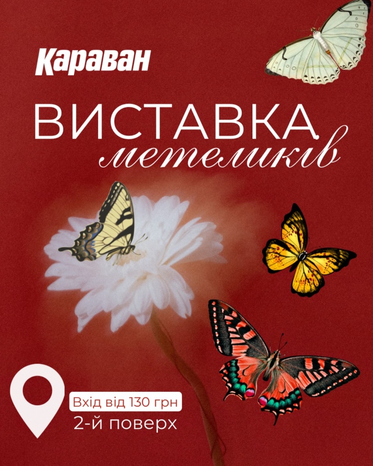 Виставка Живих Тропічних Метеликів Виставка Живих Тропічних Метеликів