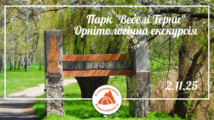 Экскурсия "Орнитологические наблюдения в парке Веселые Терны" Экскурсия "Орнитологические наблюдения в парке Веселые Терны"
