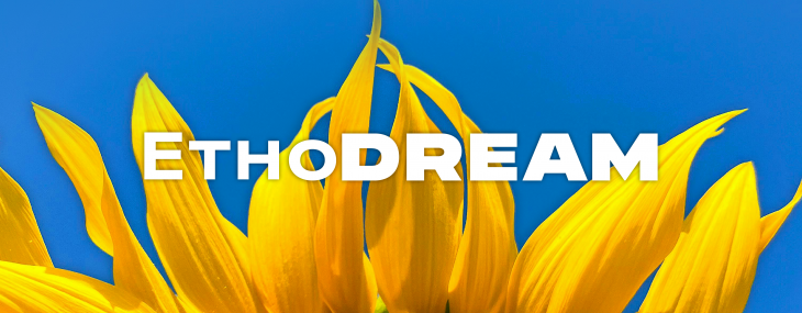 ЕтноDREAM: Відчуй силу українського духу ЕтноDREAM: Відчуй силу українського духу