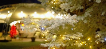 Зимовий пікнік у Фельдман Екопарк