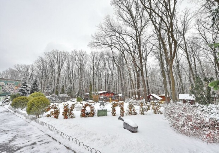 Зимовий пікнік у Фельдман Екопарк