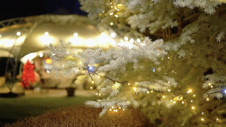 Зимовий пікнік у Фельдман Екопарк