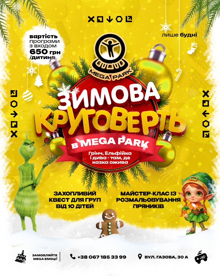 Зимова круговерть у MEGA PARK