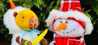 МАЙСТЕР-КЛАС “Зимова історія”