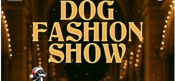 DOG FASHION SHOW