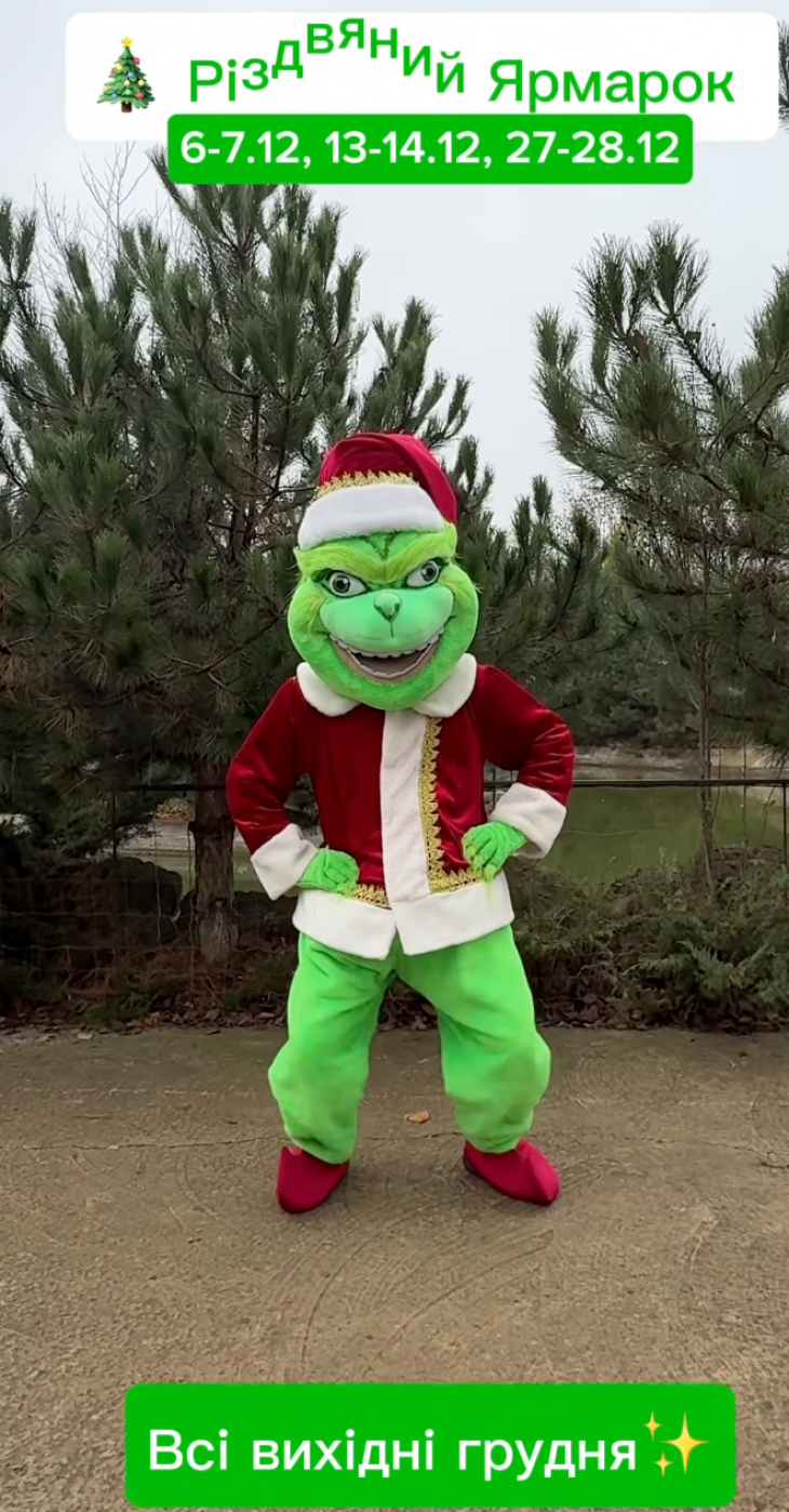 Різдвяний ярмарок у "Нью-Васюках"