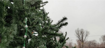 Новорічна ялинка у парку Шевченка