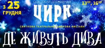 Цирковое представление "Где живут чудеса"