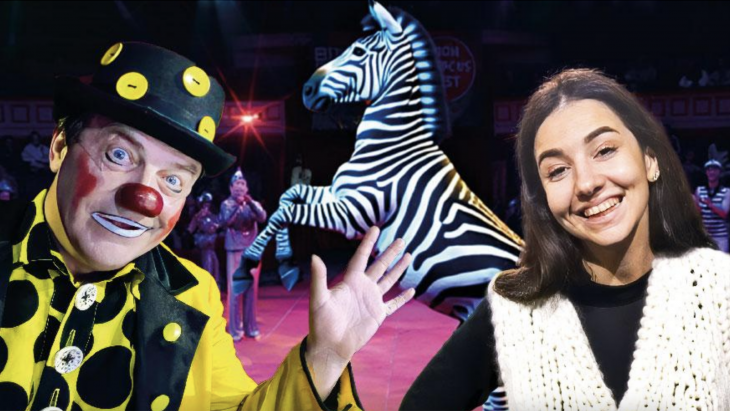 Цирковое представление "Где живут чудеса"