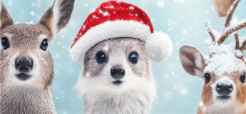 Святкові заходи у Харківському зоопарку