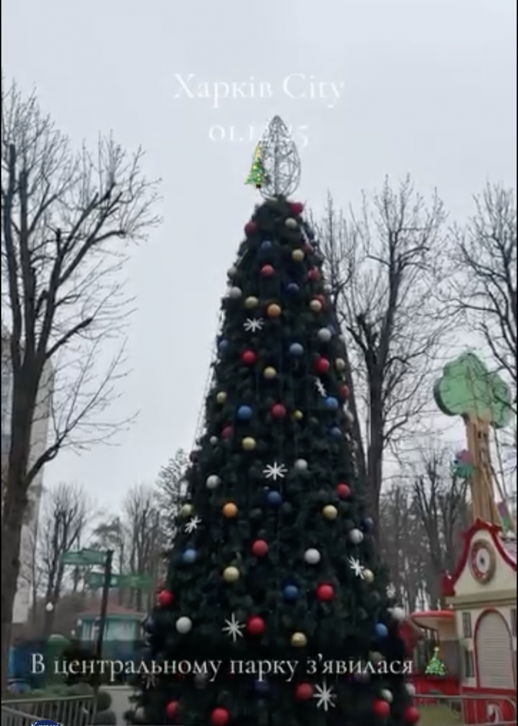 Новорічна ялинка у Центральному парку Новорічна ялинка у Центральному парку