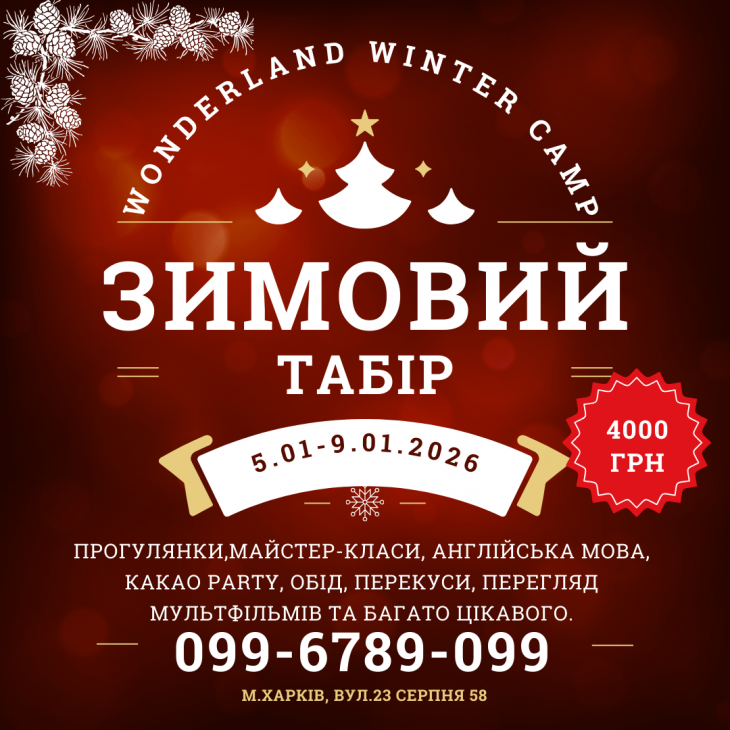 Зимовий табір разом з VSchool