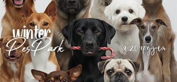 Зимовий простір Winter PesPark