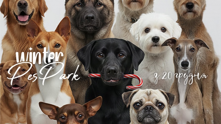 Зимовий простір Winter PesPark Зимовий простір Winter PesPark