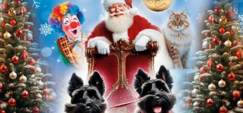 Новорічний Цирк у Запоріжжі