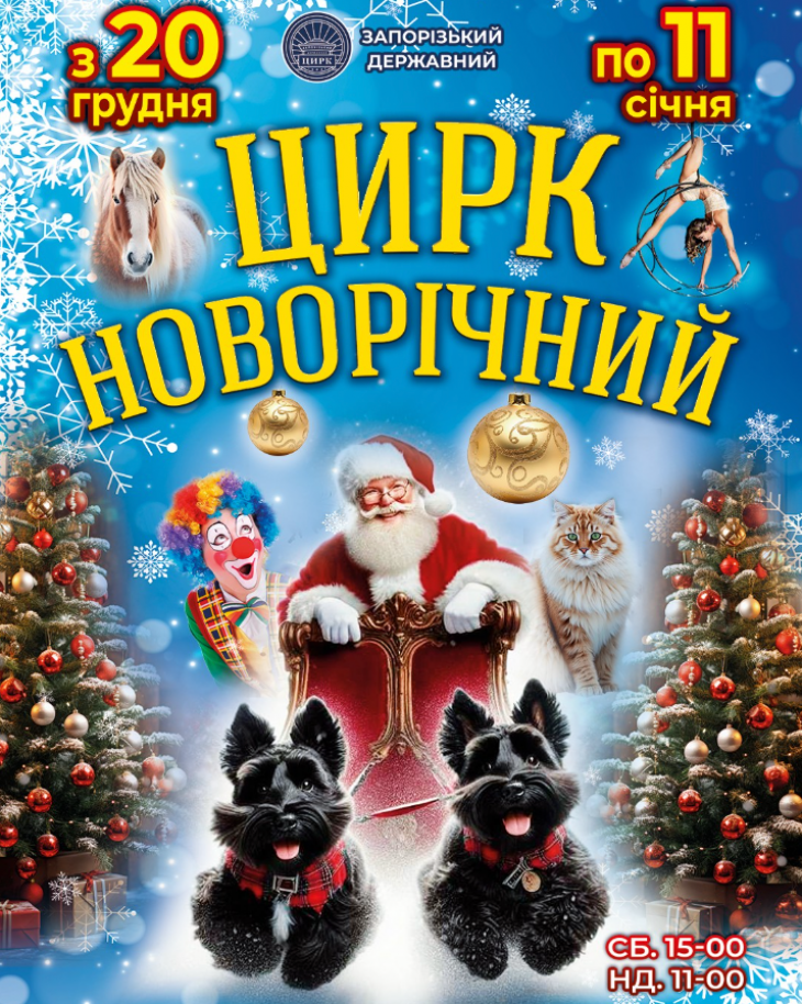 Новорічний Цирк у Запоріжжі Новорічний Цирк у Запоріжжі
