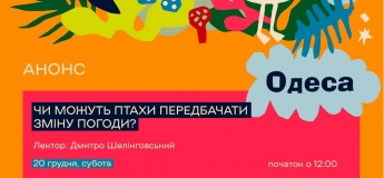 Могут ли птицы предусматривать изменение погоды?