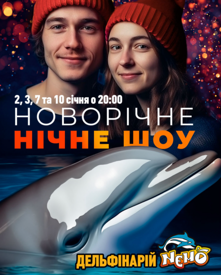 Новорічне нічне шоу Новорічне нічне шоу