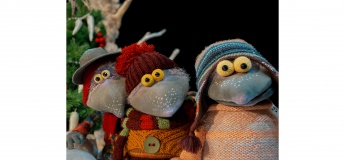 Зимние приключения крукоруков