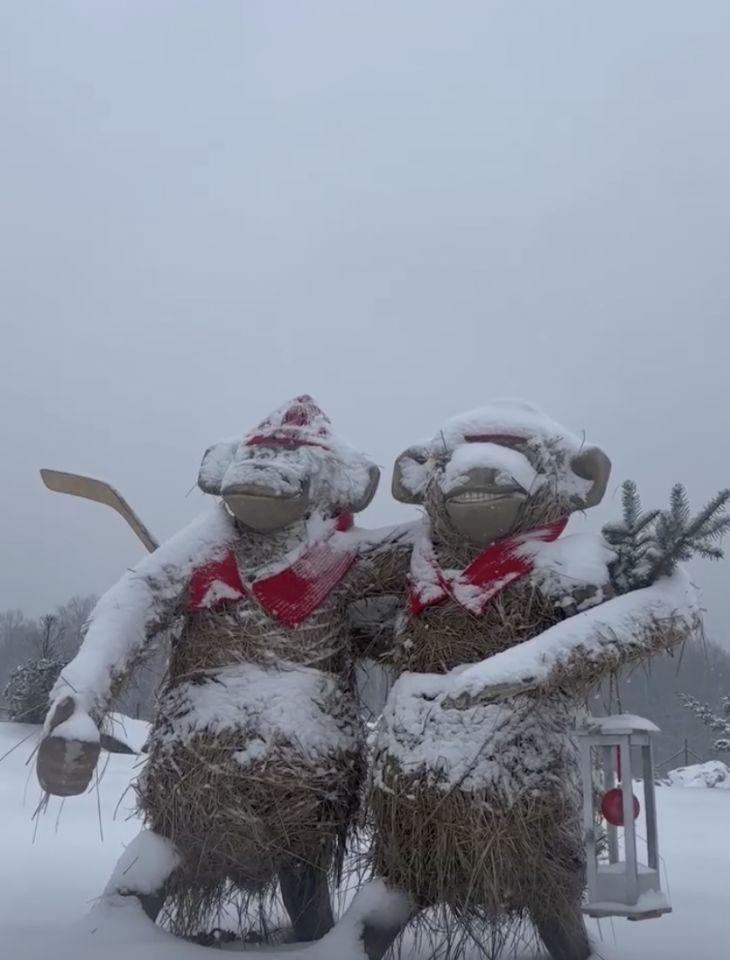 Зимова казка у Парк-каменів — Парк-батьків