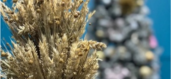 Анонс екскурсій на січень