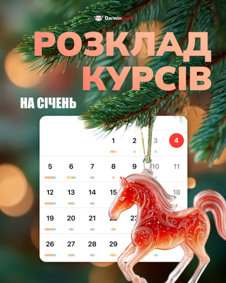 Расписание курсов на январь от DarwinLand