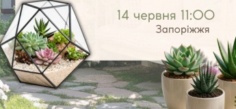 Мастер-класс по созданию флорариума
