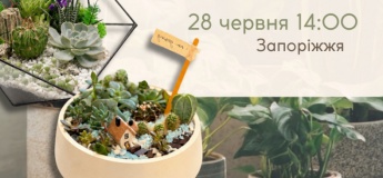 Мастер-класс по созданию флорариума