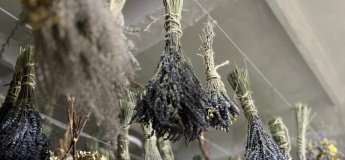 Праздник Колодия в Спасском рассаднике декоративных растений