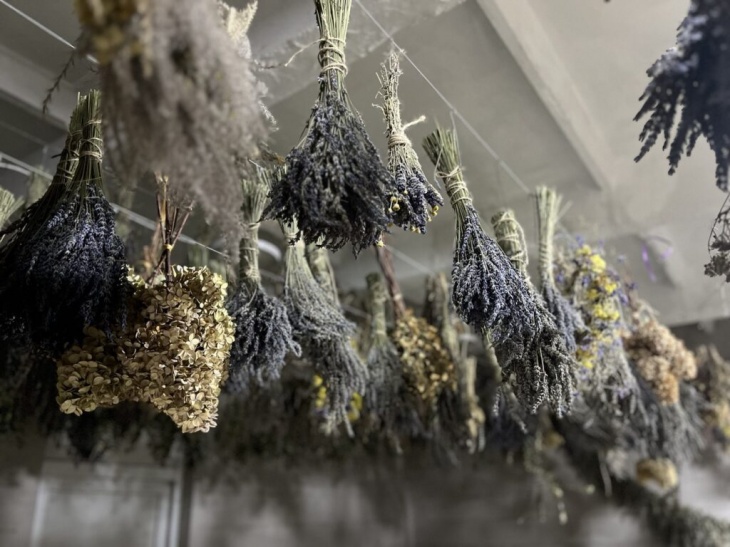 Праздник Колодия в Спасском рассаднике декоративных растений