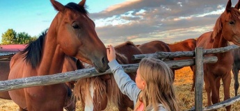 Відпочинок та релакс на кінному дворі “Лелеки”