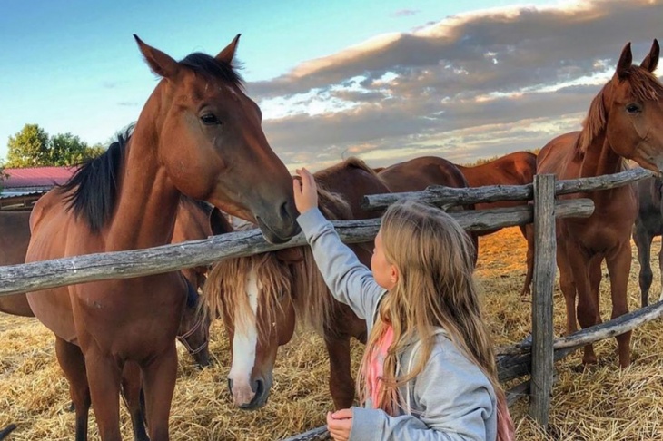 Відпочинок та релакс на кінному дворі “Лелеки”