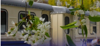 Розклад руху поїздів по Київській дитячій залізниці на березень