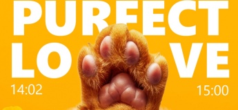 PURFECT LOVE в ТРК «Солнечная Галерея»