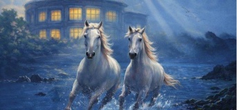 Кінно-контактна екскурсія "Історія кохання Старого цирку"