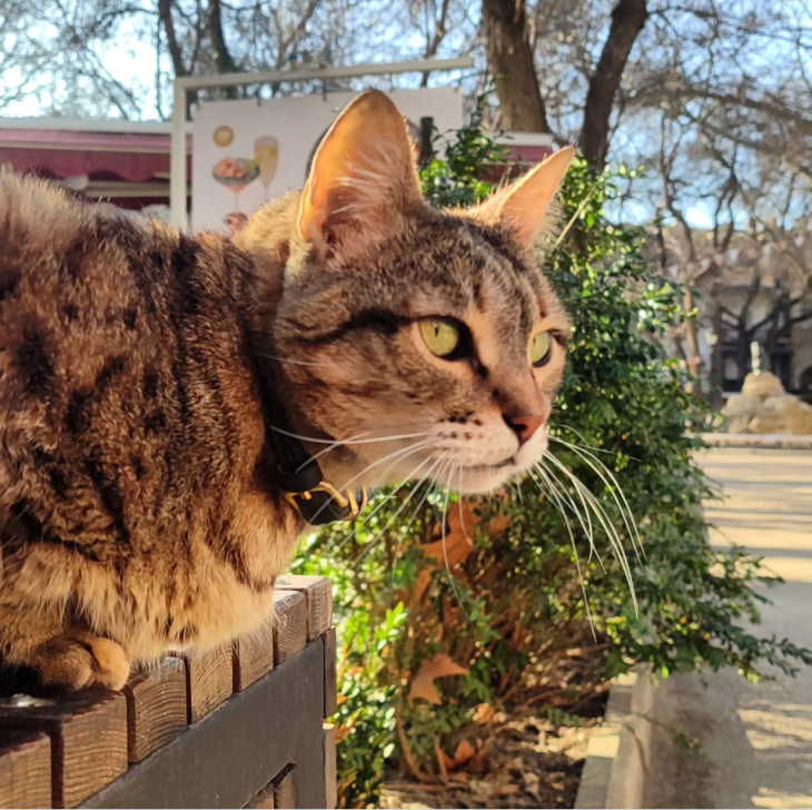 Расписание экскурсий на март Расписание экскурсий на март