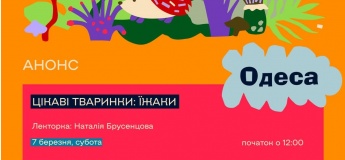 Минимизки в лаборатории: как нейробиологи создают клетки мозга