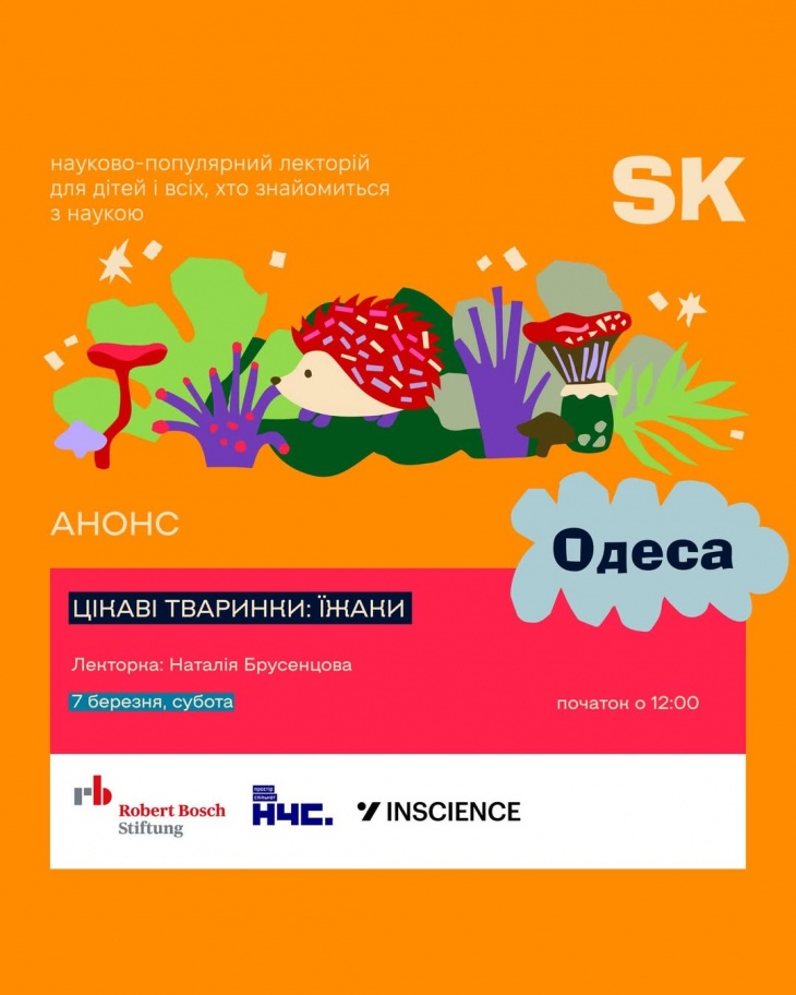 Минимизки в лаборатории: как нейробиологи создают клетки мозга