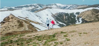 Сезон крокусів на Драгобраті