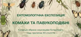 Ентомологічна експозиція "Комахи та павукоподібні"