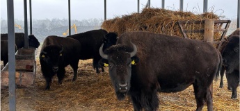 Заповідне урочище «Гора Калитва» та еко-парк Турове